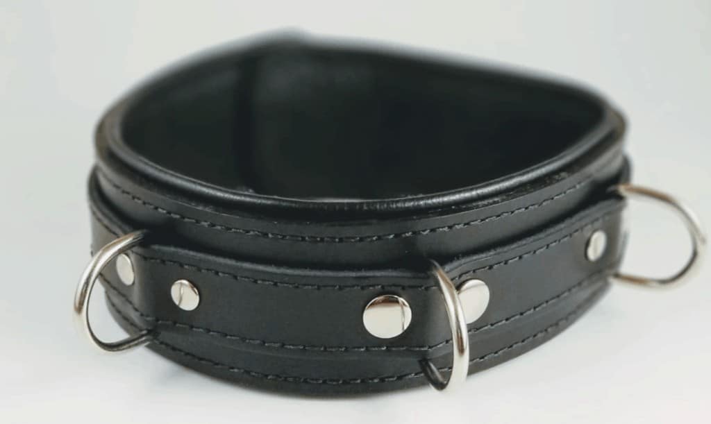 a leather sub collar with D-ring leash attachments