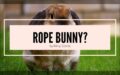 what is a rope bunny?