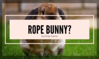 what is a rope bunny?