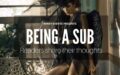 what being a sub means to readers